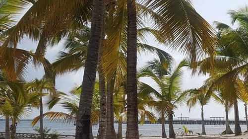 Punta Cana scenery 