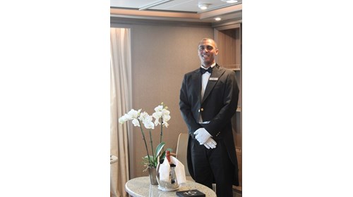 Silver Muse Butler Service 