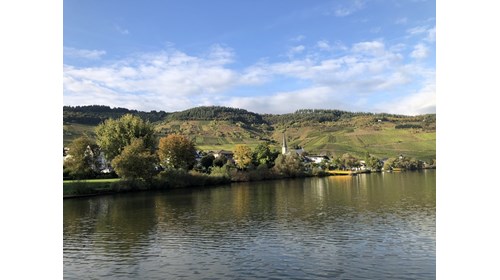 Cruising by the vineyards of Germany's Mosel River