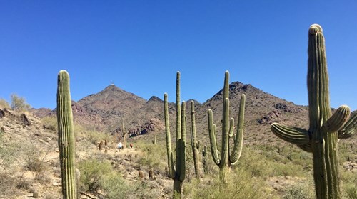 Sonoran Preserve at McDowell Mountains Scottsdale