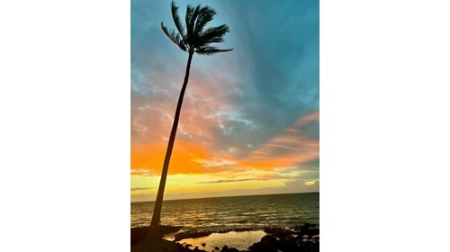 Hawaii in sunset