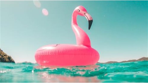 Flamingo floatie!