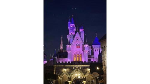 Sleeping Beauty Castle in DisneyLand