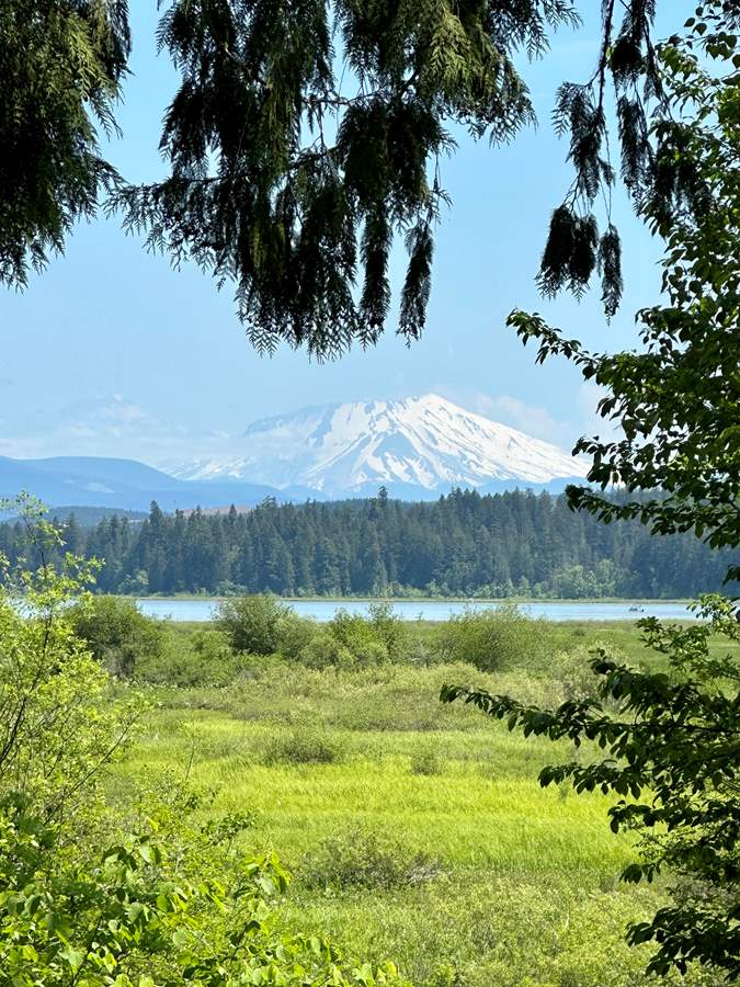 Mt St Helen's Erupted in 1980