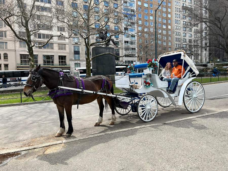 Carriage Ride in Central Park 
