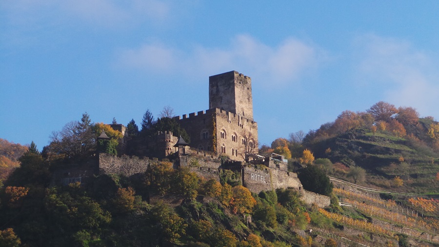 Castles along the Rhine