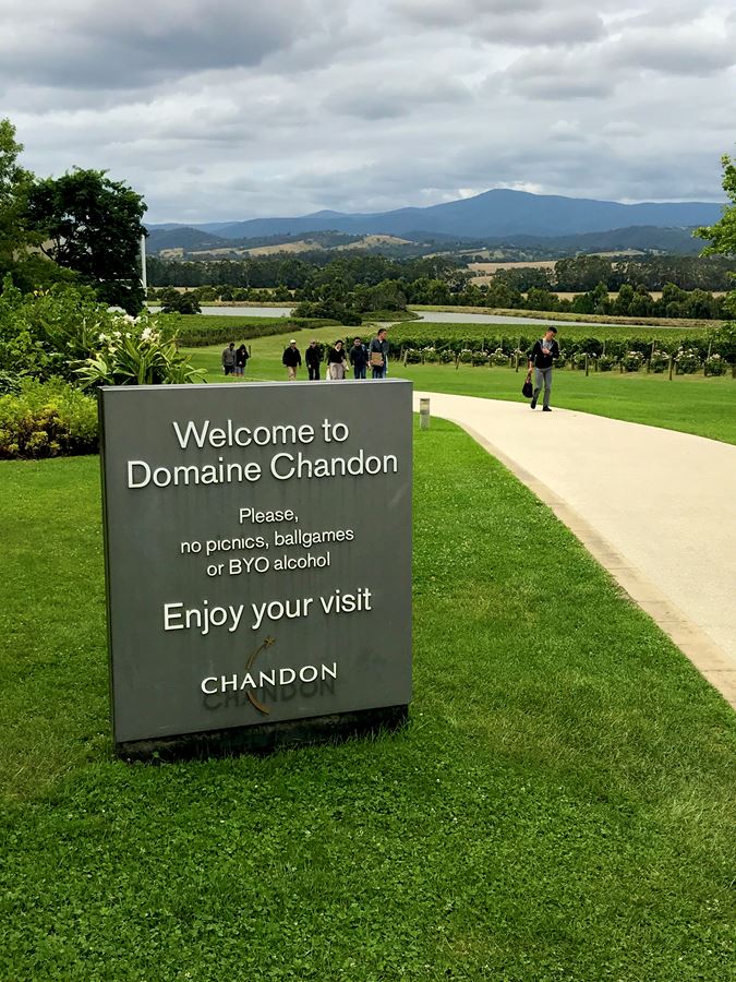 Welcome to Domaine Chandon!