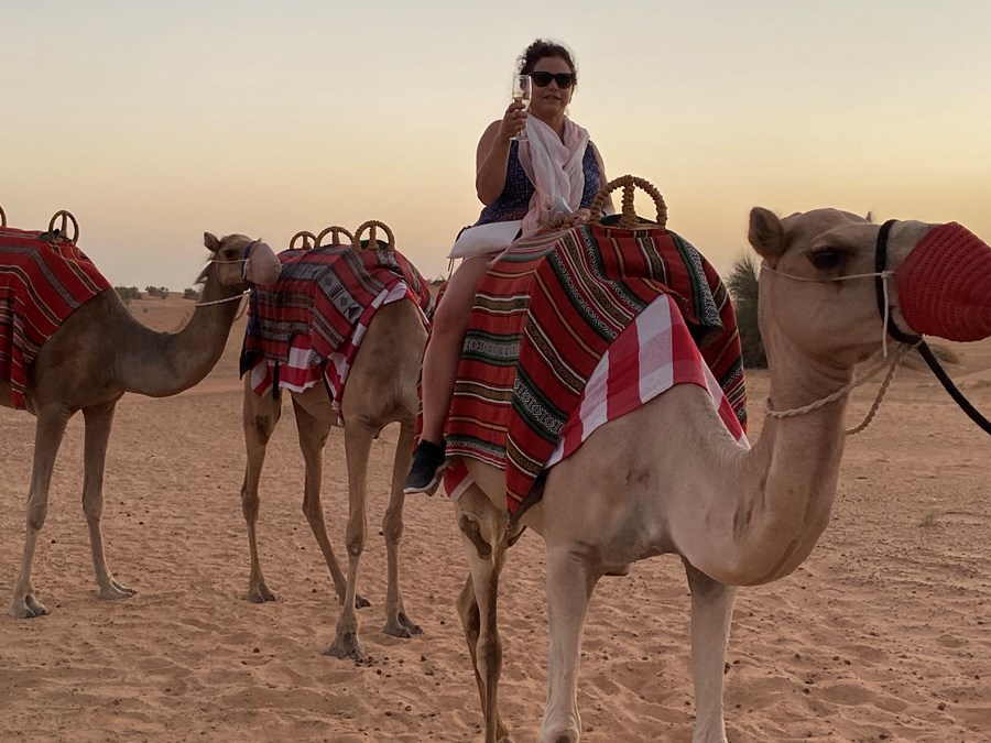 Camel ride with Sunset champagne toast 