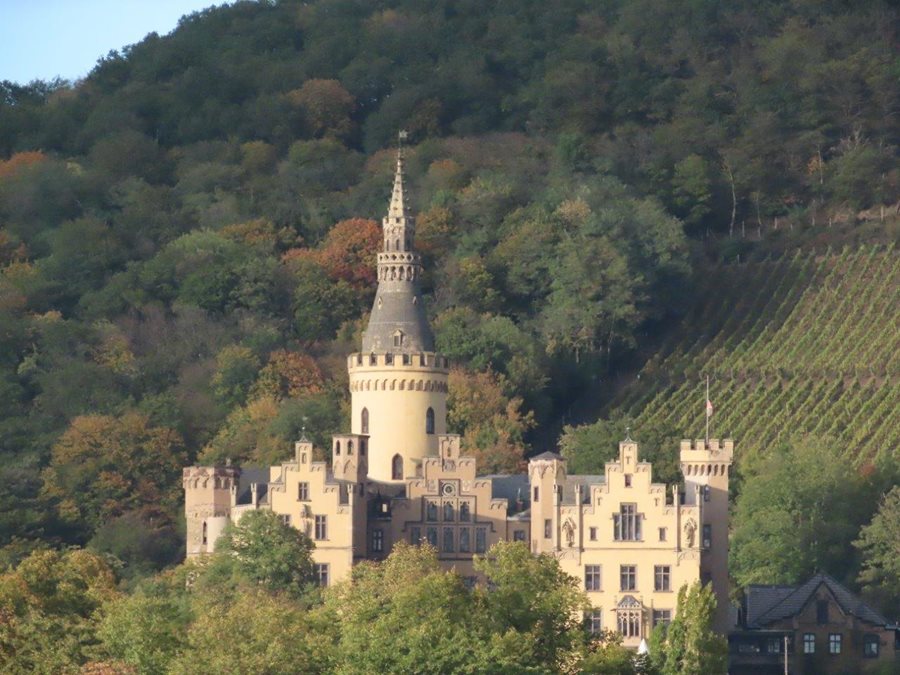 Castle Along the Rhine River