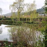 Monet's Garden Walking Tour 