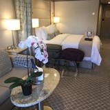 Silver Muse Suite
