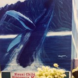 Wyland Whaling Wall on Kauai