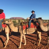 Uluru Sunrise Tour in Ayers Rock and by Camel!