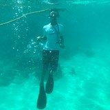 Snorkeling at Princess Alexandra Reef