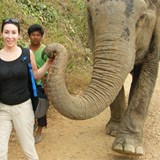 Elephant National Park, Thailand