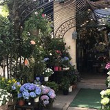 Flower shop-6th arrondissment