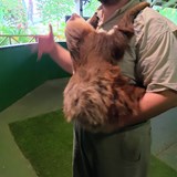 At Sloth Sanctuary 