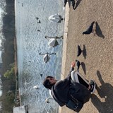 Feeding the birds in Hyde Park