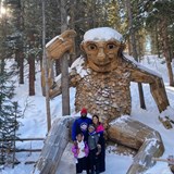 Clients visiting the Troll