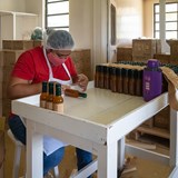 The production of Belizean hot sauce