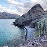 A hike along a secluded island in Baja California 