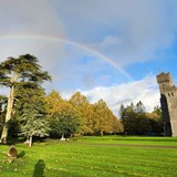 Luxury Gold at the end of the rainbow in Ireland