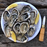 The rivers of Maine have the best oysters