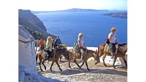 Riding up the cliff of Santorini on a donkey