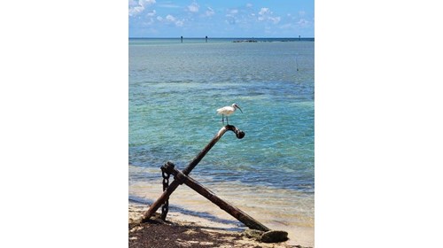 Islamorada. Florida Keys. 