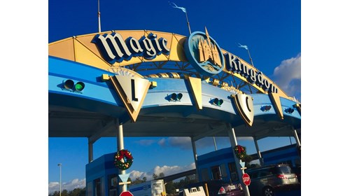 The Most Magical Place on Earth!