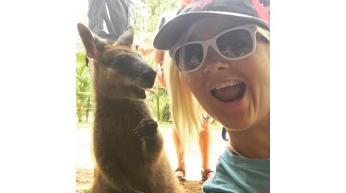 Hey, wallaby, hey! - Cairns, Australia 