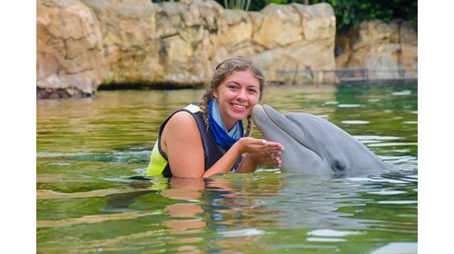 Swimming with Dolphins at Discovery Cove