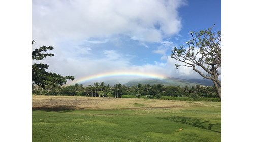 A stunning rainbow in Hawaii....a daily occurence!