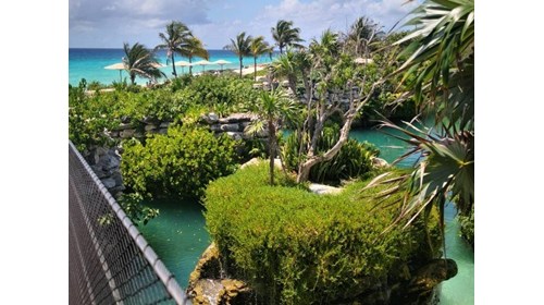 My fave All Inclusive....Hotel Xcaret Mexico