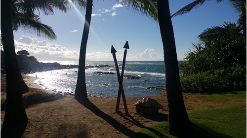 Getting lost on a beach somewhere in Hawaii...