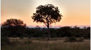 South African Sunset