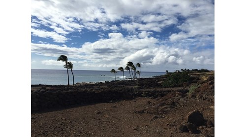 Taken on a trip to Hawai'i