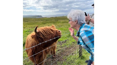 Conversing with Scotland cow, hairy coo