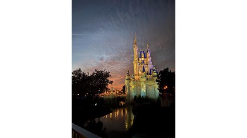 Experience the beauty and wonder of Disney magic! 