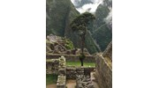 Machu Picchu, Peru---a mystical setting!
