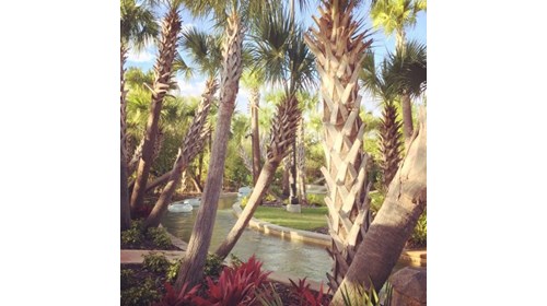 The lazy river at the Four Seasons Resort Orlando 