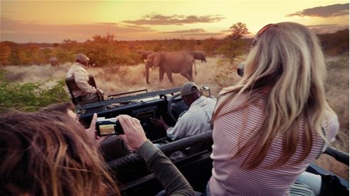 Southern Africa - Bush Camps and Wildlife