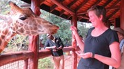 Lunchtime at the Giraffe Sanctuary, Nairobi Kenya