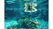 Snorkeling at Aulani, a Disney Resort & Spa