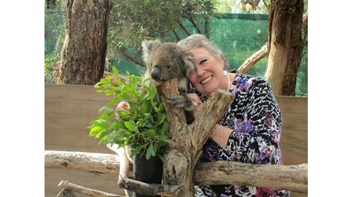 Have you ever Cuddled a Koala?