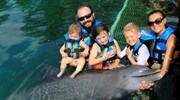 Swam with the dolphins with my family in Mexico 