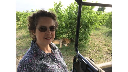 April with Lion in Zimbabwe, Southern Africa