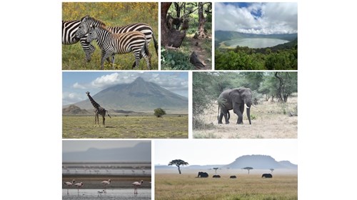 Tanzania - and some of her wildlife and landscapes